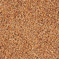 405053561-1